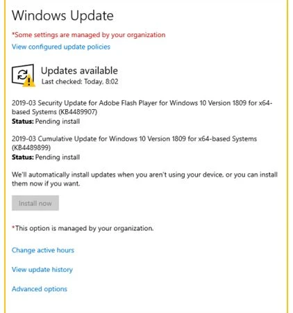 Install the Windows Update